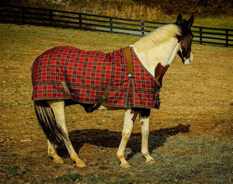 horse blankets at tractor supply|winter horse blankets for sale.